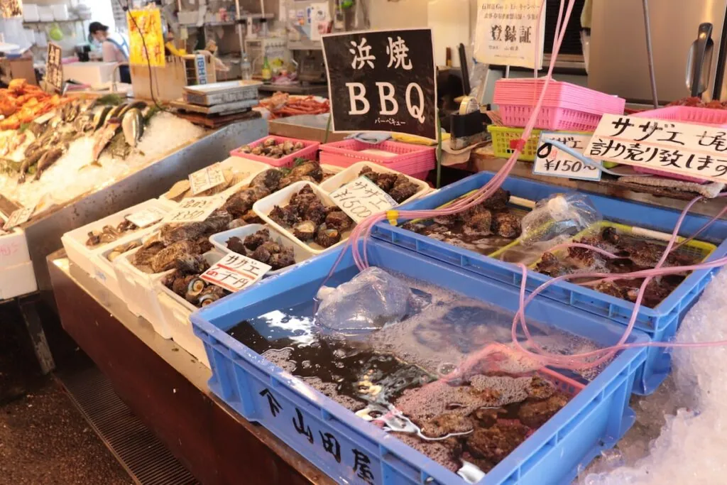 浜焼きBBQの生け簀